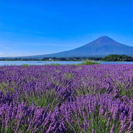 Отель グランファーム富士河口湖 Granfarm Фудзикавагутико Экстерьер фото